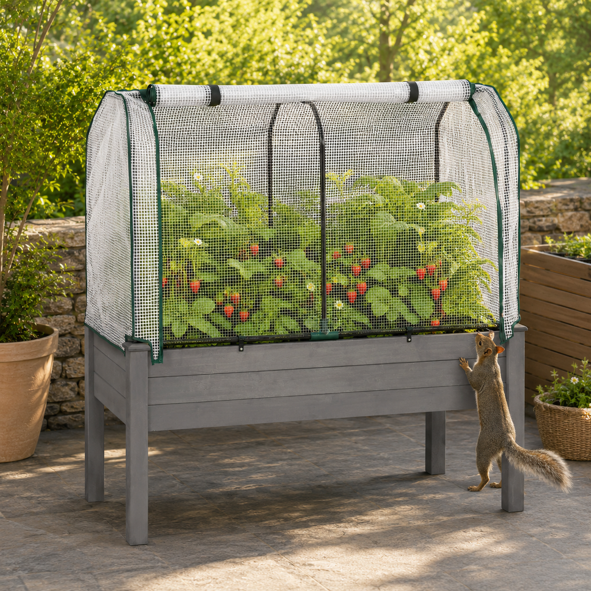 Elevated Garden Bed with Greenhouse Cover